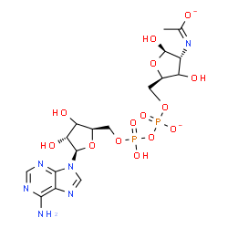ChemSpider 2D Image | (1E)-N-[(2R,3R,5R)-5-[[[[(2R,4R,5R)-5-(6-aminopurin-9-yl)-3,4-dihydroxy-tetrahydrofuran-2-yl]methoxy-hydroxy-phosphoryl]oxy-oxido-phosphoryl]oxymethyl]-2,4-dihydroxy-tetrahydrofuran-3-yl]ethanimidate | C17H24N6O14P2