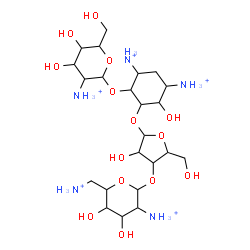 ChemSpider 2D Image | 4,6-Diammonio-2-{[3-O-(2,6-diammonio-2,6-dideoxyhexopyranosyl)pentofuranosyl]oxy}-3-hydroxycyclohexyl 2-ammonio-2-deoxyhexopyranoside | C23H50N5O14