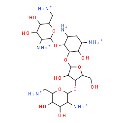 ChemSpider 2D Image | 4,6-Diammonio-2-{[3-O-(2,6-diammonio-2,6-dideoxyhexopyranosyl)pentofuranosyl]oxy}-3-hydroxycyclohexyl 2,6-diammonio-2,6-dideoxyhexopyranoside | C23H52N6O13