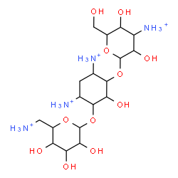 ChemSpider 2D Image | 4,6-Diammonio-3-[(6-ammonio-6-deoxyhexopyranosyl)oxy]-2-hydroxycyclohexyl 3-ammonio-3-deoxyhexopyranoside | C18H40N4O11