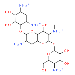 ChemSpider 2D Image | 7-Ammonio-6-[(4,6-diammonio-2,3-dihydroxycyclohexyl)oxy]-4-hydroxy-3-(methylammonio)octahydropyrano[3,2-b]pyran-2-yl 4-ammonio-4-deoxyhexopyranoside | C21H46N5O11