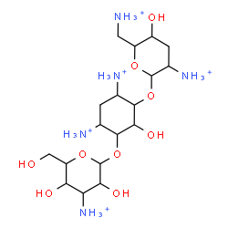ChemSpider 2D Image | 4,6-Diammonio-3-[(3-ammonio-3-deoxyhexopyranosyl)oxy]-2-hydroxycyclohexyl 2,6-diammonio-2,3,6-trideoxyhexopyranoside | C18H42N5O9