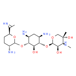 ChemSpider 2D Image | (1S,2S,3R,4S,6R)-4,6-Diamino-3-({(3R,6S)-3-amino-6-[(1R)-1-(methylamino)ethyl]tetrahydro-2H-pyran-2-yl}oxy)-2-hydroxycyclohexyl 3-deoxy-4-C-methyl-3-(methylamino)-beta-L-arabinopyranoside | C21H43N5O7