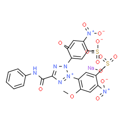 ChemSpider 2D Image | Sodium 3,3'-[5-(phenylcarbamoyl)-2H-tetrazol-3-ium-2,3-diyl]bis(4-methoxy-6-nitrobenzenesulfonate) | C22H16N7NaO13S2
