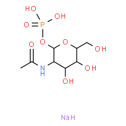 ChemSpider 2D Image | 2-Acetamido-2-deoxy-1-O-phosphonohexopyranose - sodium (1:1) | C8H16NNaO9P