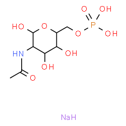 ChemSpider 2D Image | 2-Acetamido-2-deoxy-6-O-phosphonohexopyranose - sodium (1:1) | C8H16NNaO9P