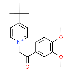 ChemSpider 2D Image | 1-[2-(3,4-Dimethoxyphenyl)-2-oxoethyl]-4-(2-methyl-2-propanyl)pyridinium | C19H24NO3