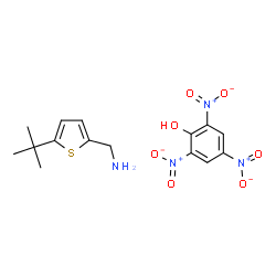 ChemSpider 2D Image | 2,4,6-Trinitrophenol - 1-[5-(2-methyl-2-propanyl)-2-thienyl]methanamine (1:1) | C15H18N4O7S