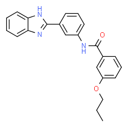 ChemSpider 2D Image | N-[3-(1H-Benzimidazol-2-yl)phenyl]-3-propoxybenzamide | C23H21N3O2