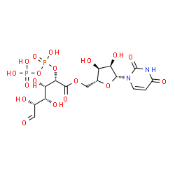 ChemSpider 2D Image | [(2R,3S,4R,5R)-5-(2,4-Dioxo-3,4-dihydro-1(2H)-pyrimidinyl)-3,4-dihydroxytetrahydro-2-furanyl]methyl (2S,3S,4S,5R)-3,4,5-trihydroxy-2-{[hydroxy(phosphonooxy)phosphoryl]oxy}-6-oxohexanoate (non-preferre
d name) | C15H22N2O18P2