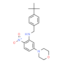 ChemSpider 2D Image | N-[4-(2-Methyl-2-propanyl)benzyl]-5-(4-morpholinyl)-2-nitroaniline | C21H27N3O3
