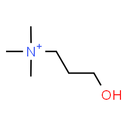 ChemSpider 2D Image | 3-Hydroxy-N,N,N-trimethylpropanaminium | C6H16NO