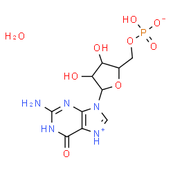 ChemSpider 2D Image | 2-Amino-9-[5-O-(hydroxyphosphinato)pentofuranosyl]-6-oxo-6,9-dihydro-1H-purin-7-ium hydrate (1:1) | C10H16N5O9P