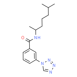 ChemSpider 2D Image | N-(6-Methyl-2-heptanyl)-3-(1H-tetrazol-1-yl)benzamide | C16H23N5O