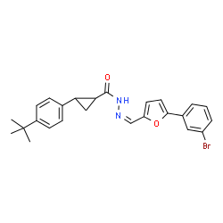 ChemSpider 2D Image | N'-{(Z)-[5-(3-Bromophenyl)-2-furyl]methylene}-2-(4-tert-butylphenyl)cyclopropanecarbohydrazide | C25H25BrN2O2