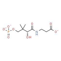 ChemSpider 2D Image | 3-{[(2R)-2-Hydroxy-3,3-dimethyl-4-(phosphonatooxy)butanoyl]amino}propanoate | C9H15NO8P