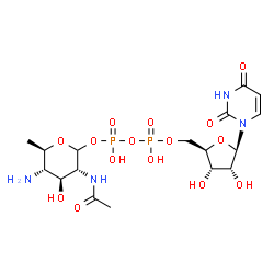 ChemSpider 2D Image | (3R,4S,5S,6R)-3-Acetamido-5-amino-4-hydroxy-6-methyltetrahydro-2H-pyran-2-yl [(2R,3S,4R,5R)-5-(2,4-dioxo-3,4-dihydro-1(2H)-pyrimidinyl)-3,4-dihydroxytetrahydro-2-furanyl]methyl dihydrogen diphosphate 
(non-preferred name) | C17H28N4O15P2