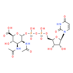 ChemSpider 2D Image | UDP-2,3-diacetamido-2,3-dideoxy-alpha-D-mannuronic acid | C19H28N4O18P2