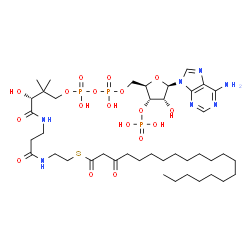 ChemSpider 2D Image | 3-oxoicosanoyl-CoA | C41H72N7O18P3S