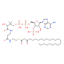 ChemSpider 2D Image | 3-oxotetracosanoyl-CoA | C45H80N7O18P3S