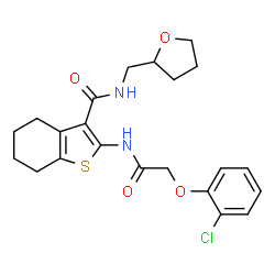 ChemSpider 2D Image | 2-{[(2-Chlorophenoxy)acetyl]amino}-N-(tetrahydro-2-furanylmethyl)-4,5,6,7-tetrahydro-1-benzothiophene-3-carboxamide | C22H25ClN2O4S