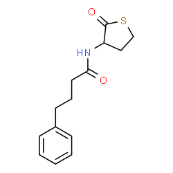 ChemSpider 2D Image | N-(2-Oxotetrahydro-3-thiophenyl)-4-phenylbutanamide | C14H17NO2S