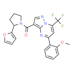 ChemSpider 2D Image | [2-(2-Furyl)-1-pyrrolidinyl][5-(2-methoxyphenyl)-7-(trifluoromethyl)pyrazolo[1,5-a]pyrimidin-3-yl]methanone | C23H19F3N4O3