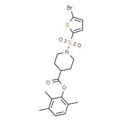 ChemSpider 2D Image | 2,3,6-Trimethylphenyl 1-[(5-bromo-2-thienyl)sulfonyl]-4-piperidinecarboxylate | C19H22BrNO4S2