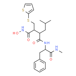 ChemSpider 2D Image | N~4~-Hydroxy-2-isobutyl-N~1~-[1-(methylamino)-1-oxo-3-phenyl-2-propanyl]-3-[(2-thienylsulfanyl)methyl]succinamide | C23H31N3O4S2