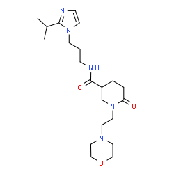 ChemSpider 2D Image | N-[3-(2-Isopropyl-1H-imidazol-1-yl)propyl]-1-[2-(4-morpholinyl)ethyl]-6-oxo-3-piperidinecarboxamide | C21H35N5O3