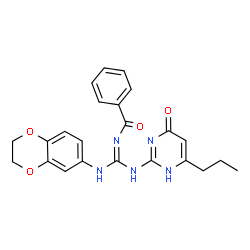 ChemSpider 2D Image | N-{(E)-(2,3-Dihydro-1,4-benzodioxin-6-ylamino)[(6-oxo-4-propyl-1,6-dihydropyrimidin-2-yl)amino]methylene}benzamide | C23H23N5O4