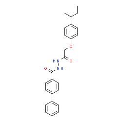 ChemSpider 2D Image | N'-[(4-sec-Butylphenoxy)acetyl]-4-biphenylcarbohydrazide | C25H26N2O3