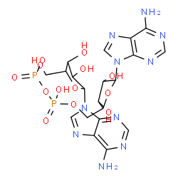 ChemSpider 2D Image | [[5-(6-aminopurin-9-yl)-3,4-dihydroxy-tetrahydrofuran-2-yl]methoxy-hydroxy-phosphoryl] [5-(6-aminopurin-9-yl)-3,4-dihydroxy-tetrahydrofuran-2-yl]methyl hydrogen phosphate | C20H26N10O13P2