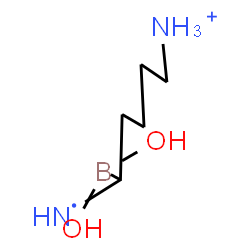 ChemSpider 2D Image | [5-Ammonio-1-(dihydroxyboryl)pentyl]amino | C5H15BN2O2
