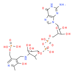 ChemSpider 2D Image | [5-(2-Amino-6-oxo-1,6-dihydro-9H-purin-9-yl)-3,4-dihydroxytetrahydro-2-furanyl]methyl 3,4-dihydroxy-5-[({3-hydroxy-2-methyl-5-[(phosphonooxy)methyl]-4-pyridinyl}methyl)amino]-6-methyltetrahydro-2H-pyr
an-2-yl dihydrogen diphosphate | C24H36N7O19P3