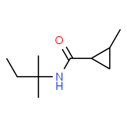 ChemSpider 2D Image | 2-Methyl-N-(2-methyl-2-butanyl)cyclopropanecarboxamide | C10H19NO