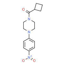 ChemSpider 2D Image | Cyclobutyl[4-(4-nitrophenyl)-1-piperazinyl]methanone | C15H19N3O3