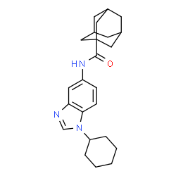ChemSpider 2D Image | N-(1-Cyclohexyl-1H-benzimidazol-5-yl)-1-adamantanecarboxamide | C24H31N3O