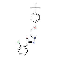 ChemSpider 2D Image | 2-[(4-tert-butylphenoxy)methyl]-5-(2-chlorophenyl)-1,3,4-oxadiazole | C19H19ClN2O2