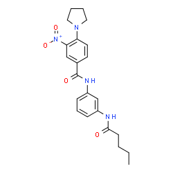 ChemSpider 2D Image | 3-Nitro-N-[3-(pentanoylamino)phenyl]-4-(1-pyrrolidinyl)benzamide | C22H26N4O4