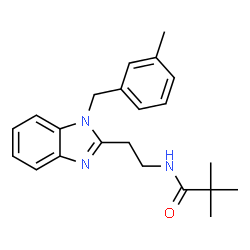ChemSpider 2D Image | 2,2-Dimethyl-N-{2-[1-(3-methylbenzyl)-1H-benzimidazol-2-yl]ethyl}propanamide | C22H27N3O
