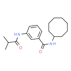 ChemSpider 2D Image | N-Cyclooctyl-3-(isobutyrylamino)benzamide | C19H28N2O2