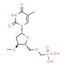 ChemSpider 2D Image | 3'-O-Methyl-5'-O-(phosphonomethyl)thymidine | C12H19N2O8P