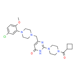 ChemSpider 2D Image | 6-{[4-(5-Chloro-2-methoxyphenyl)-1-piperazinyl]methyl}-2-[4-(cyclobutylcarbonyl)-1-piperazinyl]-4(1H)-pyrimidinone | C25H33ClN6O3
