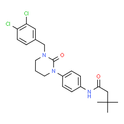 ChemSpider 2D Image | N-{4-[3-(3,4-Dichlorobenzyl)-2-oxotetrahydro-1(2H)-pyrimidinyl]phenyl}-3,3-dimethylbutanamide | C23H27Cl2N3O2