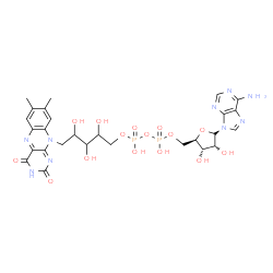 ChemSpider 2D Image | [[(2R,3S,4R)-5-[(9S)-6-aminopurin-9-yl]-3,4-dihydroxy-tetrahydrofuran-2-yl]methoxy-hydroxy-phosphoryl] [5-(7,8-dimethyl-2,4-dioxo-benzo[g]pteridin-10-yl)-2,3,4-trihydroxy-pentyl] hydrogen phosphate | C27H33N9O15P2