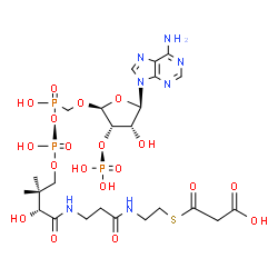 ChemSpider 2D Image | 3-{[2-({N-[(2R)-4-{[(S)-{[({[(2R,3S,4R,5R)-5-(6-Amino-9H-purin-9-yl)-4-hydroxy-3-(phosphonooxy)tetrahydro-2-furanyl]oxy}methyl)(hydroxy)phosphoryl]oxy}(hydroxy)phosphoryl]oxy}-2-hydroxy-3,3-dimethylbu
tanoyl]-beta-alanyl}amino)ethyl]sulfanyl}-3-oxopropanoic acid | C24H38N7O19P3S