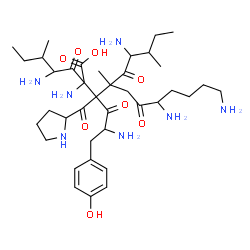 ChemSpider 2D Image | 2,7,11-Triamino-3-[2-amino-3-(4-hydroxyphenyl)propanoyl]-2,4-bis(2-amino-3-methylpentanoyl)-4-methyl-6-oxo-3-(2-pyrrolidinylcarbonyl)undecanoic acid | C38H63N7O8