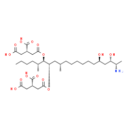 ChemSpider 2D Image | (2S,2'S)-2,2'-{[(5R,6R,7S,9S,16R,18S,19S)-19-Amino-16,18-dihydroxy-5,9-dimethyl-6,7-icosanediyl]bis[oxy(2-oxo-2,1-ethanediyl)]}disuccinic acid | C34H59NO14
