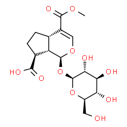 ChemSpider 2D Image | (1S,4aS,7S,7aS)-1-(beta-D-Glucopyranosyloxy)-4-(methoxycarbonyl)-1,4a,5,6,7,7a-hexahydrocyclopenta[c]pyran-7-carboxylic acid | C17H24O11